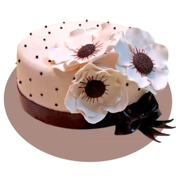 IMG 5680 768x1024 1 IMG 5680 768x1024 1