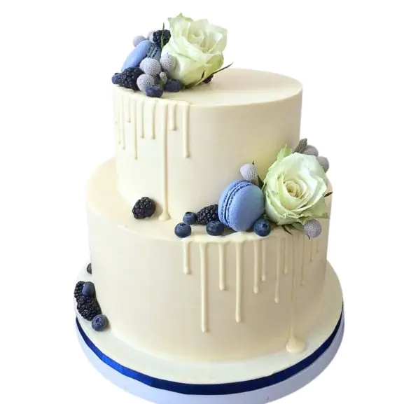 photo 2023 06 01 23 52 21 photo 2023 06 01 23 52 21