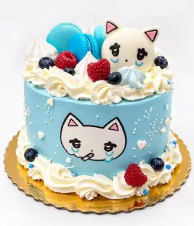 Tort Blue Cry Cat